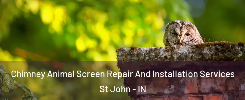  Chimney Animal Screen Repair And Installation Services St John - IN