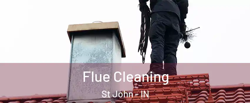  Flue Cleaning St John - IN