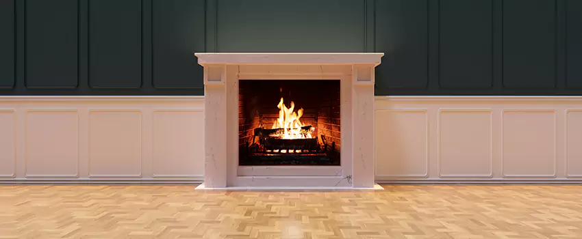 Napoleon Electric Fireplaces Inspection Service in St John, Indiana